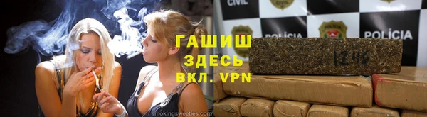 стаф Белокуриха