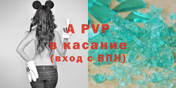 стаф Белокуриха